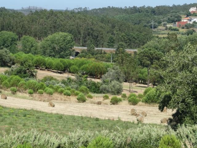 Terreno para construção | Leiria