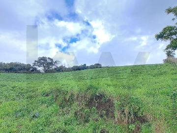 Terreno Lenho Achada, Nordeste