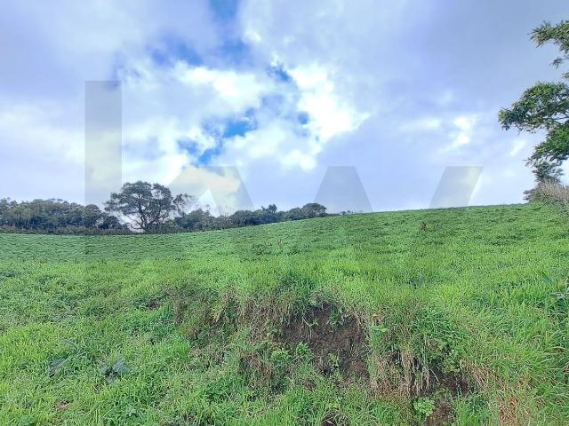 Terreno Lenho Achada, Nordeste