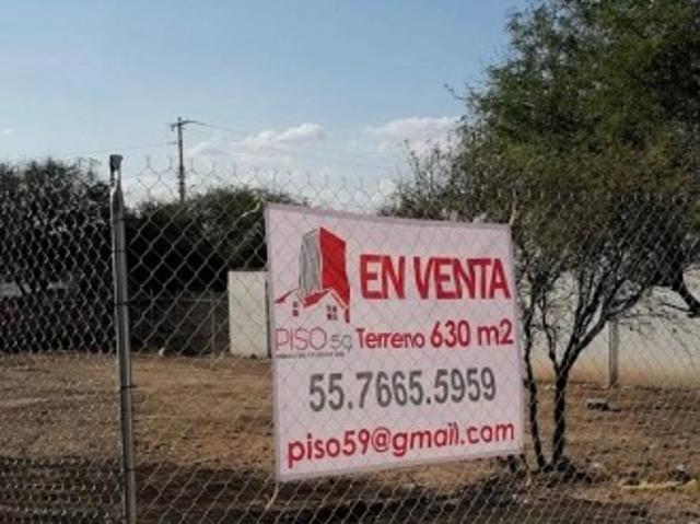 Terreno limpio, cercado y nivelado en viñedos