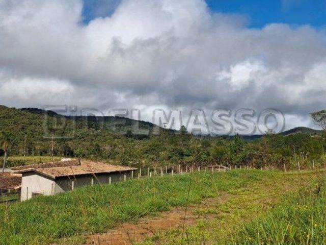 Terreno limpo e plano a 300 metros do asfalto!