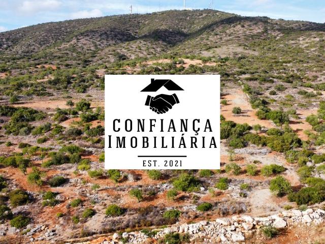Terreno Limpo e tratado com 48040 m2