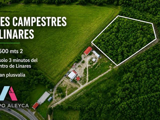 Terreno Linares
