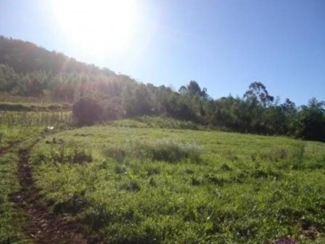 Terreno Linha Nova