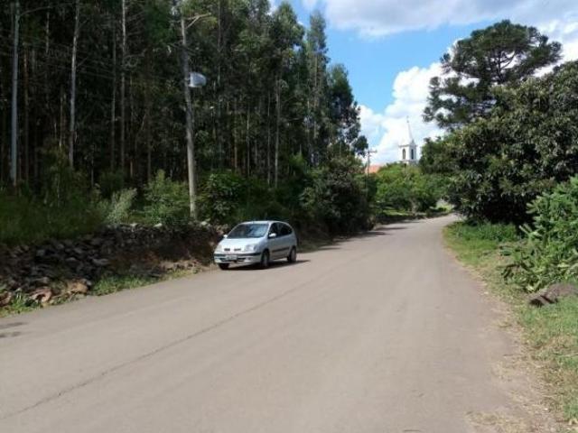 Terreno, Linha Brasil, Nova Petrópolis, RS