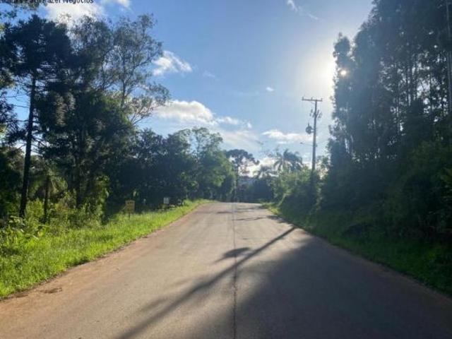 Terreno, Linha Brasil, Nova Petrópolis, RS