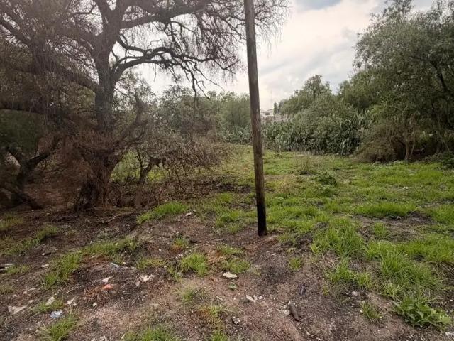 TERRENO / LOCAL EN VENTA EN APAXCO, ESTADO DE MÉXICO