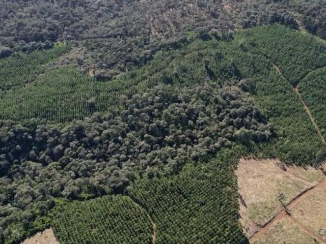 Terreno localização privilegiada, próxima à cidade e com potencial General Carneiro PR