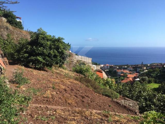 Terreno Localizado em Câmara de Lobos