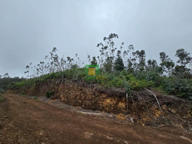 Terreno localizado no Santo da Serra