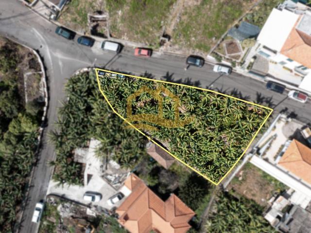 Terreno localizado na Calheta