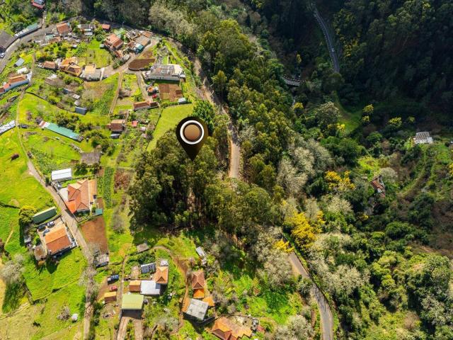 Terreno localizado na Camacha, com área total de 1.430 m²