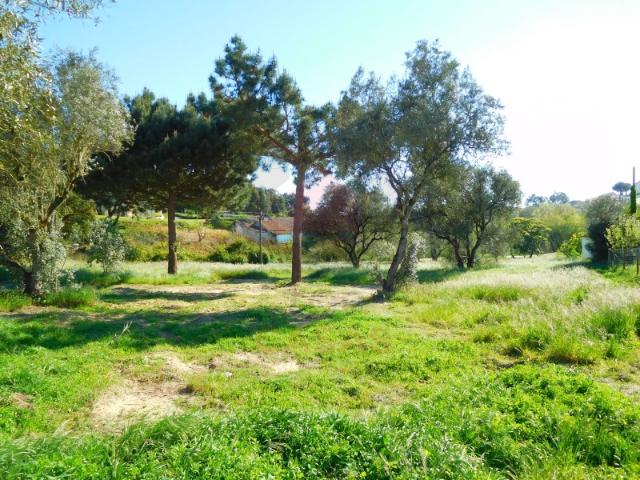 Terreno localizado perto da lagoa de obidos