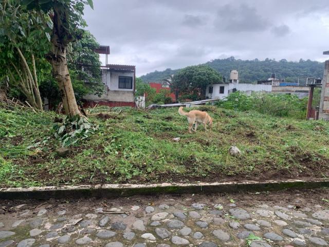 Terreno Los Carriles