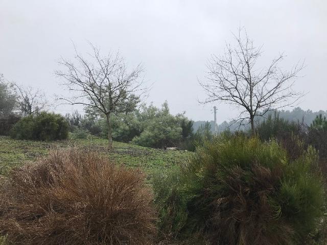Terreno Lote 17 Venda