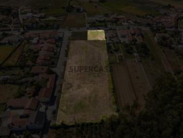 Terreno | Lote 1 | Avanca, Estarreja