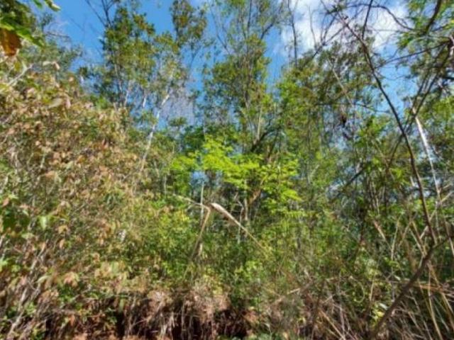 Terreno / Lote de 7 m² em Três Coroas