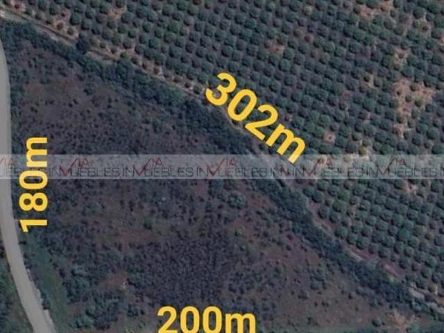 Terreno / Lote en venta en Allende