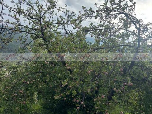 Terreno / Lote en venta en La Ciruela