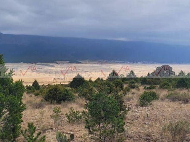 Terreno / Lote en venta en Galeana