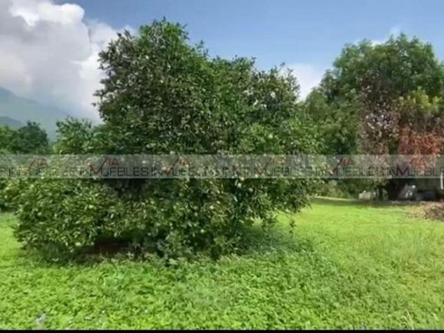 Terreno / Lote en venta en Hacienda San Antonio