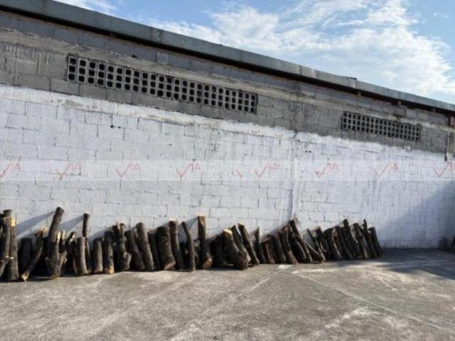 Terreno / Lote en venta en Monterrey