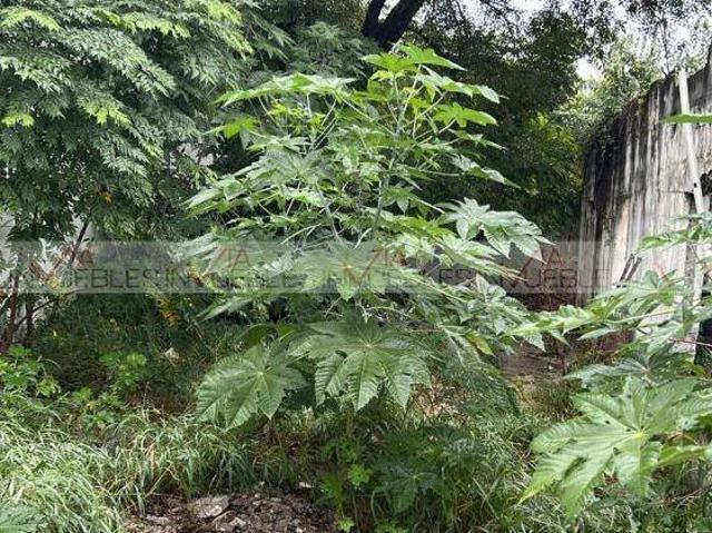Terreno / Lote en venta en Monterrey