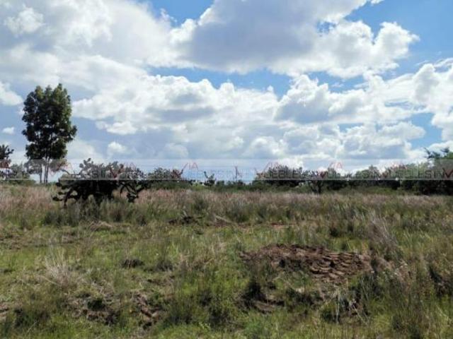 Terreno / Lote en venta en San Juan Del Río