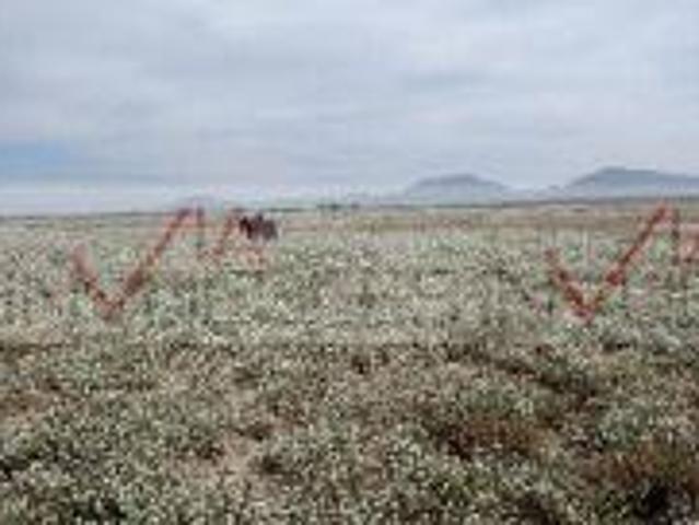 Terreno / Lote en venta en Ramos Arizpe