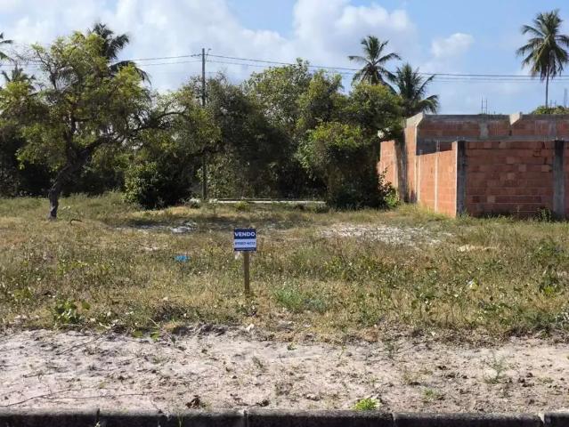 Terreno / Lote para Venda em Tamandaré/PE Campas