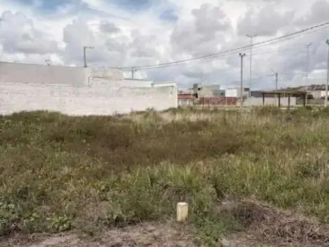Terreno / Lote para Venda em Tamandaré/PE Campas