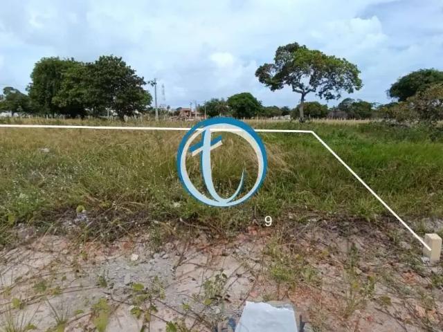 Terreno / Lote para Venda em Tamandaré/PE Centro