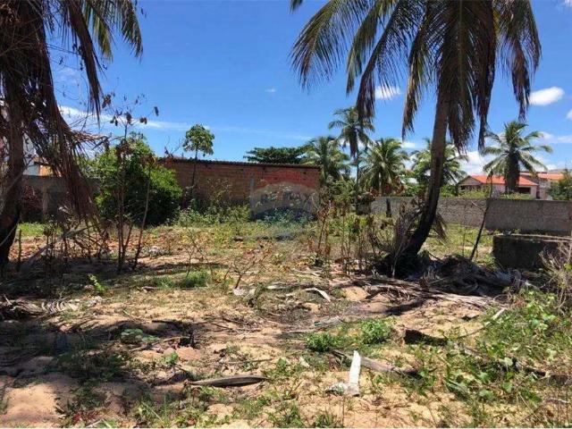Terreno / Lote para Venda em Tamandaré/PE Centro