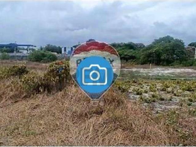 Terreno / Lote para Venda em Tamandaré/PE Centro