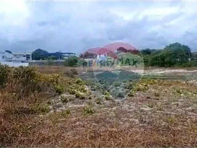 Terreno / Lote para Venda em Tamandaré/PE Centro