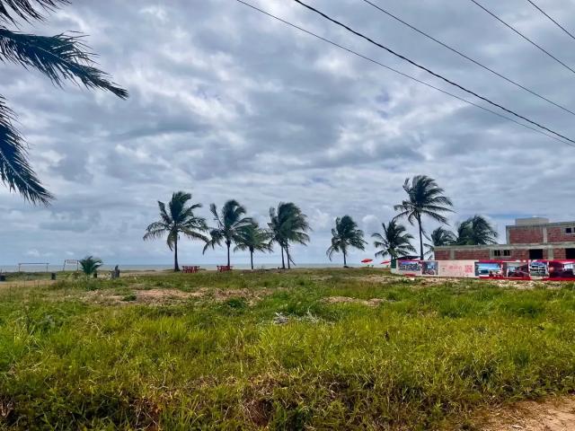 Terreno / Lote para Venda em Tamandaré/PE Praia de Tamandaré
