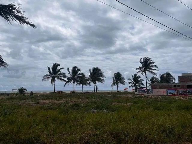 Terreno / Lote para Venda em Tamandaré/PE Praia de Tamandaré