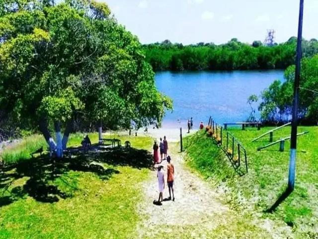 Terreno / Lote para Venda em Tamandaré/PE Praia Dos Carneiros