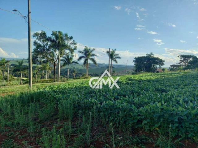 Terreno / Lote para Venda em Tamarana/PR Serrinha