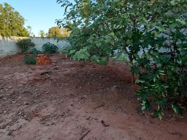 Terreno / Lote para Venda em Tanabi/SP Converd II