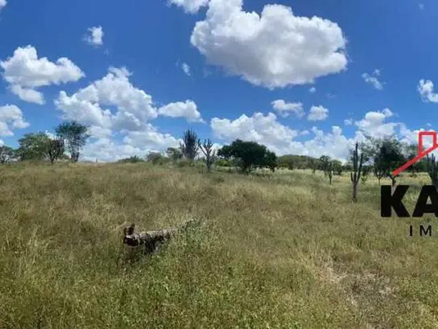 Terreno / Lote para Venda em Tanquinho/BA Centro