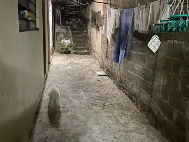 Terreno / Lote para Venda em Taboão da Serra/SP Jardim Maria Rosa 1 Quartos