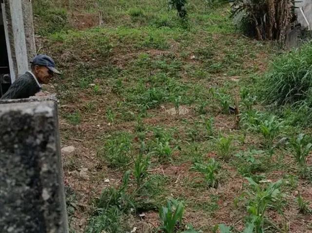 Terreno / Lote para Venda em Taboão da Serra/SP Parque Monte Alegre