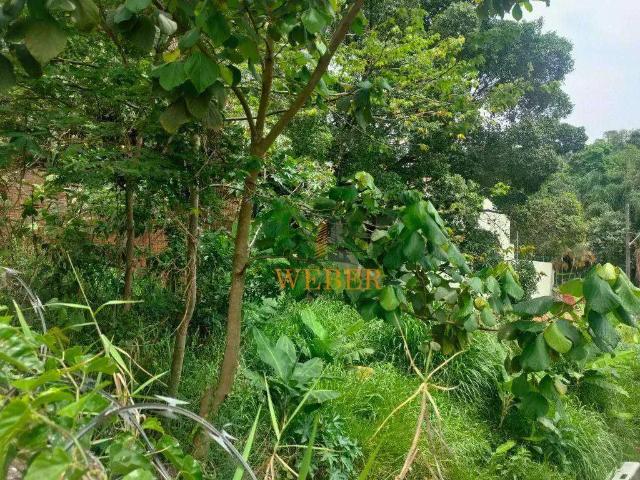 Terreno / Lote para Venda em Taboão da Serra/SP Parque Monte Alegre