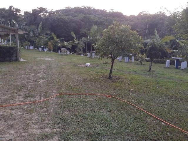 Terreno / Lote para Venda em Tapiraí/SP Centro