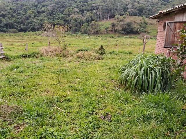 Terreno / Lote para Venda em Taquara/RS Fazenda Fialho