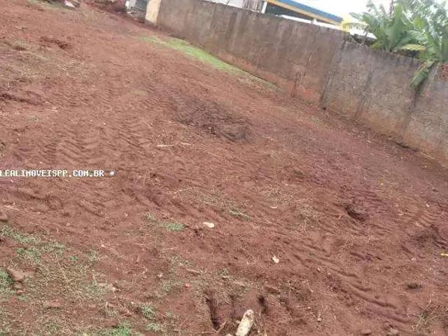 Terreno / Lote para Venda em Tarabai/SP Centro