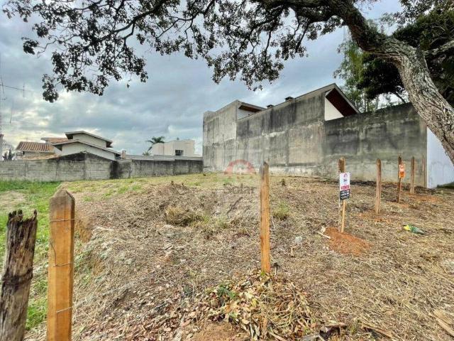 Terreno / Lote para Venda em Taubaté/SP Campos Elíseos