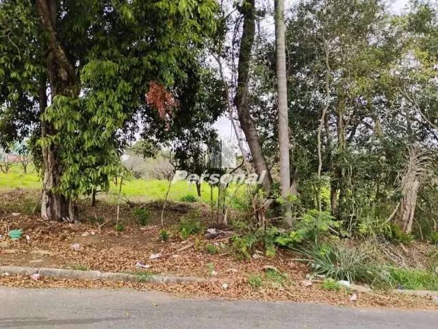 Terreno / Lote para Venda em Taubaté/SP Jardim Continental II