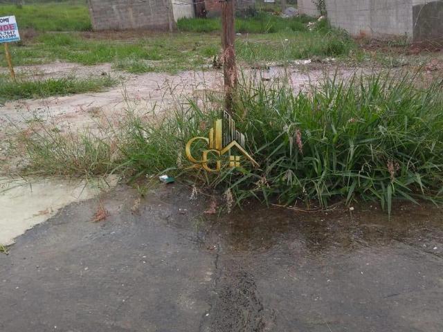 Terreno / Lote para Venda em Taubaté/SP Jardim Continental III